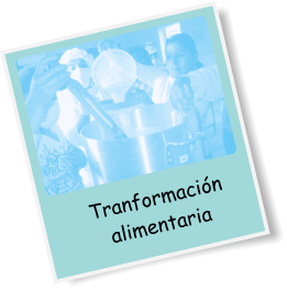 Tranformación alimentaria