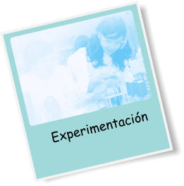 Experimentación